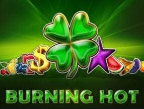 slots online free spins